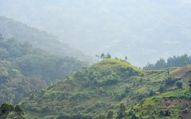 Gorilla Safari Lodge
