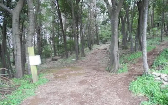 Apartamento704 Mesa del Mar