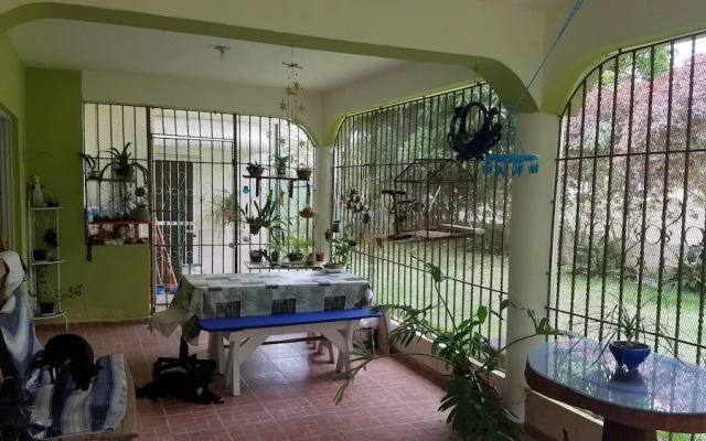 Blue Lady Rooms B&B