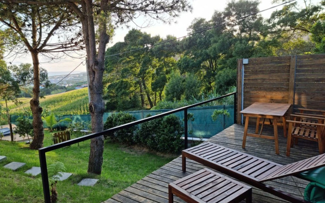 Place Of Moments Natur