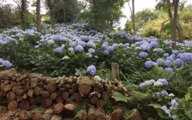 Mar Y Mar Apartamentos