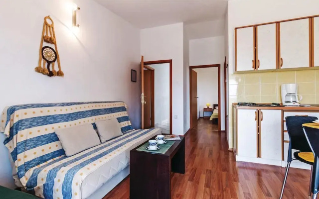 Amazing Home in Mandre With Wifi and 1 Bedrooms
