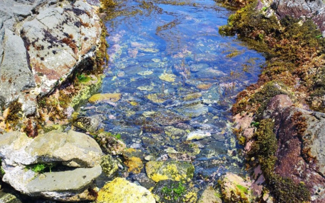 Pohang View 141 Pension