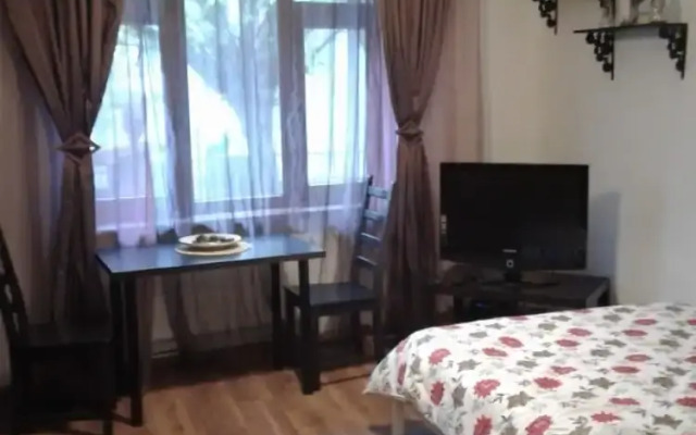 Apartment Ion Luca Caragiale
