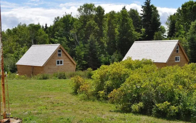 The Dancing Moose Cafe