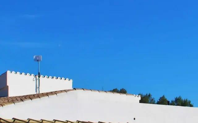 Finca Palmera