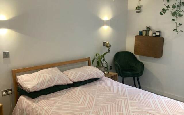 Pet Friendly 1 Bedroom Apartment in London Fields