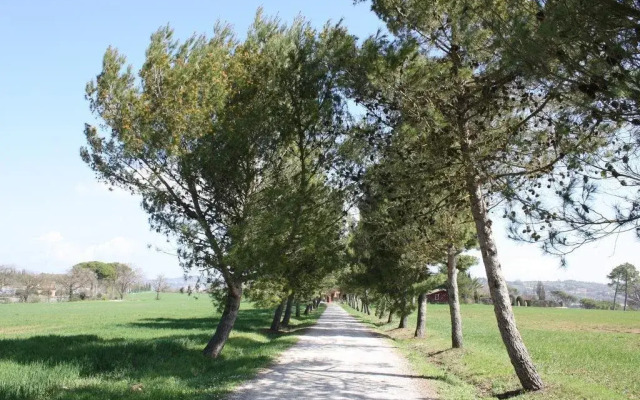 La Querciaia