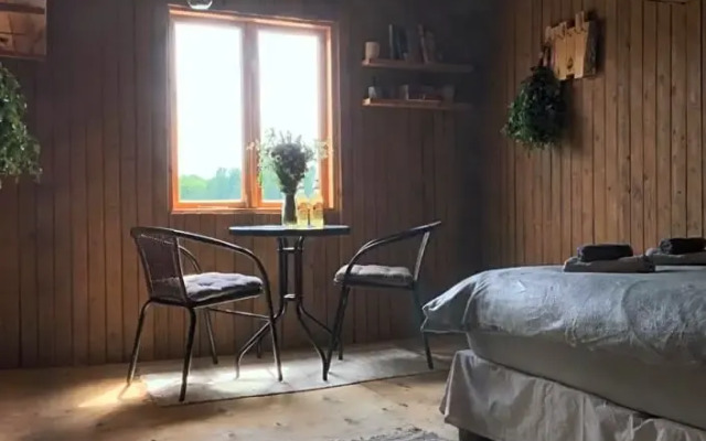 Tiny lake house