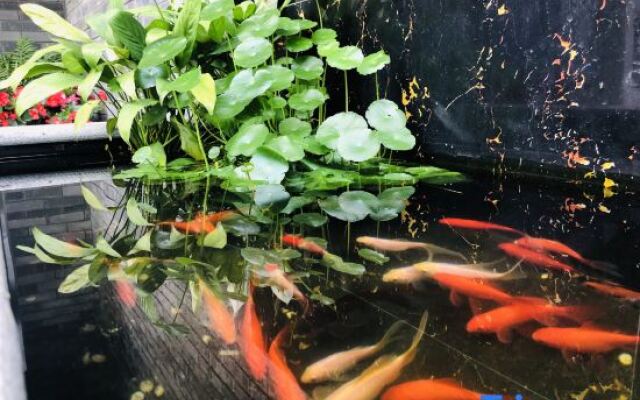 Anjing Old Tree Courtyard (Emeishan Scenic Area)