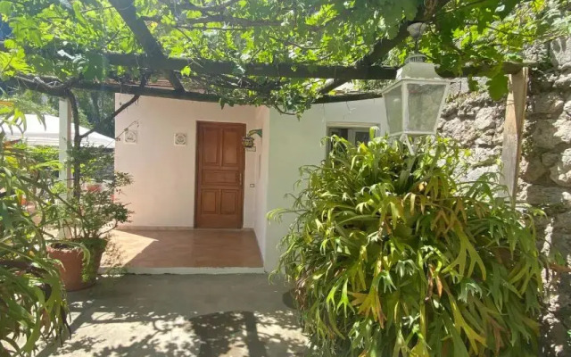 Villa Striano Capri - Guest House - Rooms Garden & Art