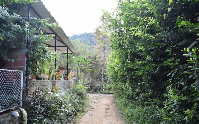 Hospedaje Los Pinos, Cabaña en Minca