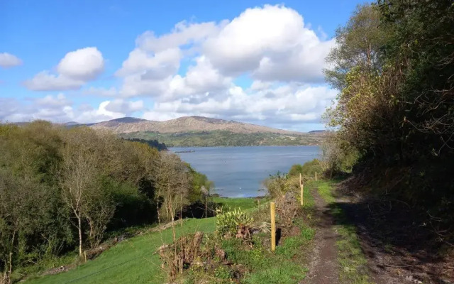 Cuckoo Tree House, Glengarriff, Beara Peninsula