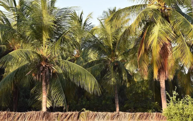 Le Marin Hotel Boutique