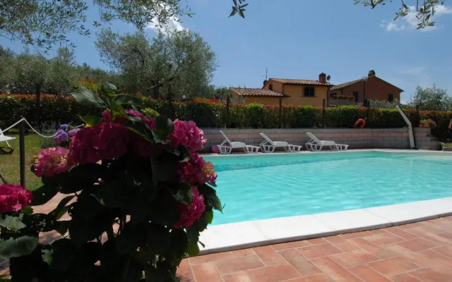 La Piaggiola degli Olivi