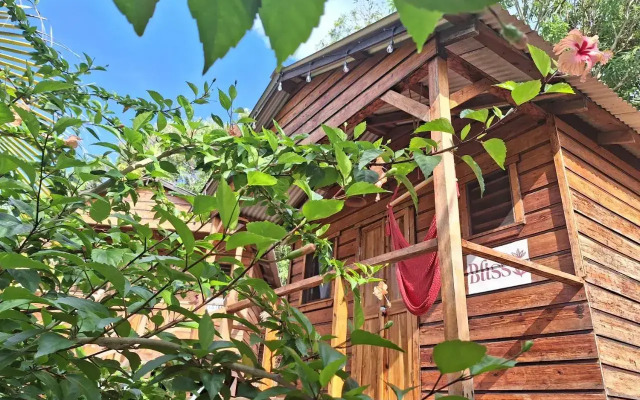 Green House Hostel