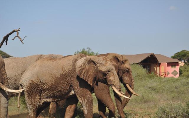 Kilima Safari Camp