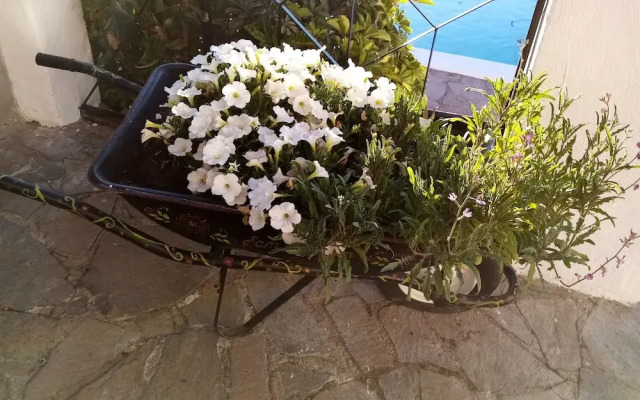 Ziggy's Mountain Retreat