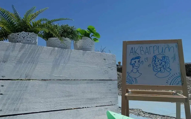 Abrikos