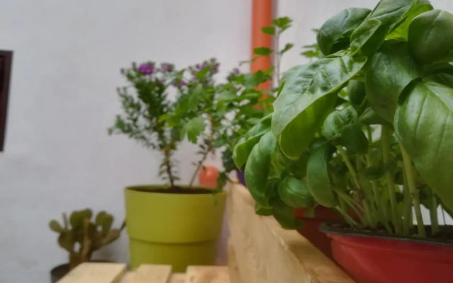 Sofia Pretty Appartament