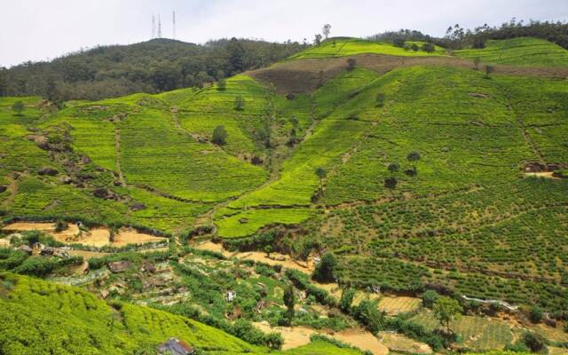 Hillsborough Cottage Nuwara Eliya