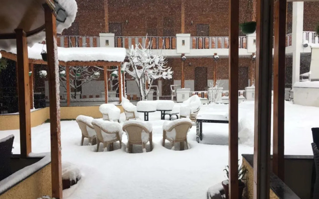 TreeHouse Chail Villas