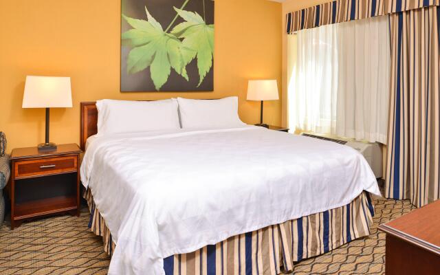 Holiday Inn & Suites Chicago - Downtown by IHG