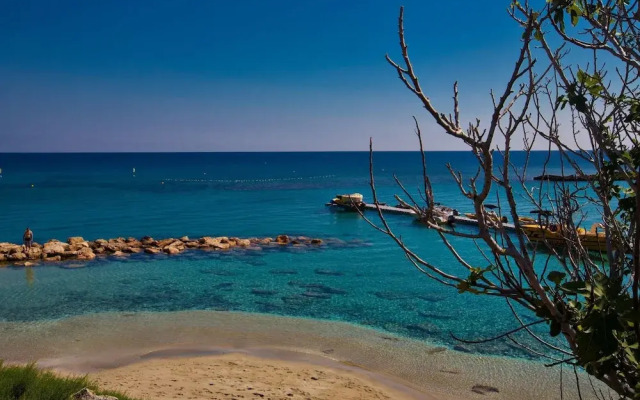 Cyprus Apartment Palm 208 Gold