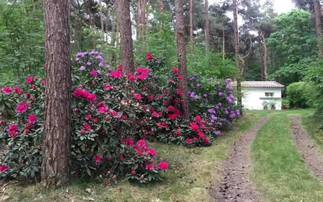 Gierle Garden Bungalow Escape