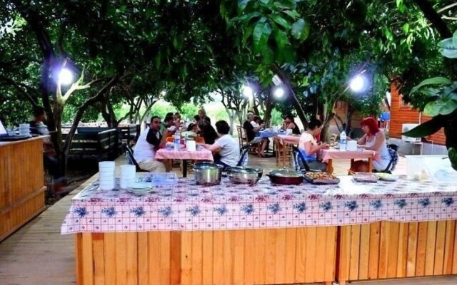Portakal Bahcesi