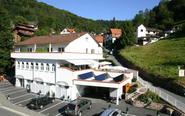 Apartmenthaus "Zum Löwen" Heidelberg - Ziegelhausen