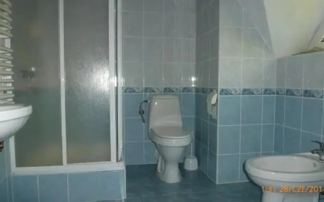 Kot Chopina