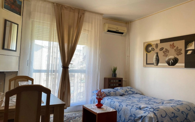 Apartment Dorcol Belgrade