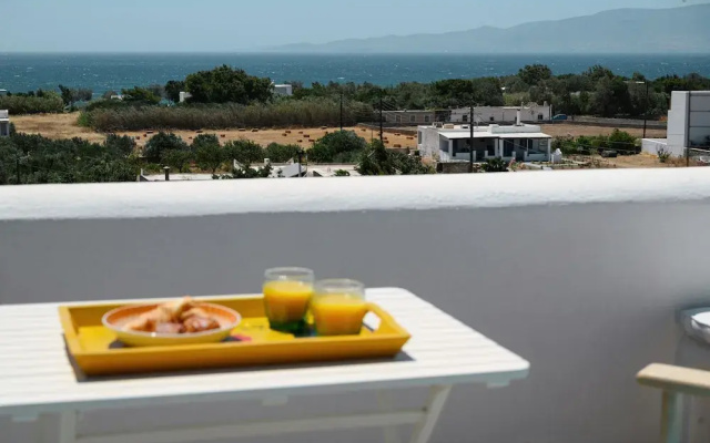 Naxos Kastraki Homey Villa With Sea View