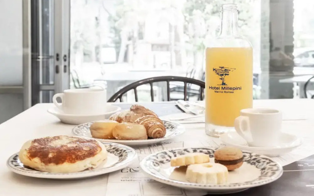 Hotel Millepini