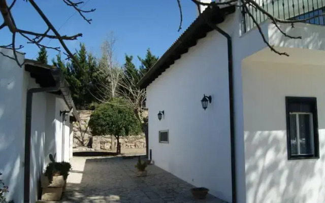 Tenuta Il Vigneto