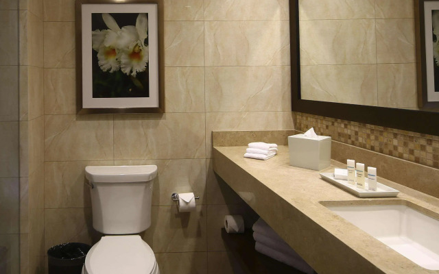 Hilton Garden Inn Cusco
