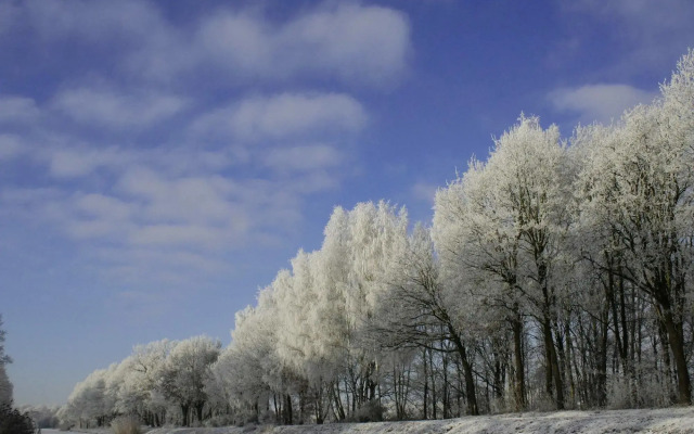 Cozy Holiday Home in Reutum with Hot Tub