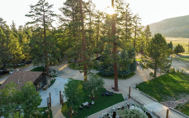 THE Ranch House #2501