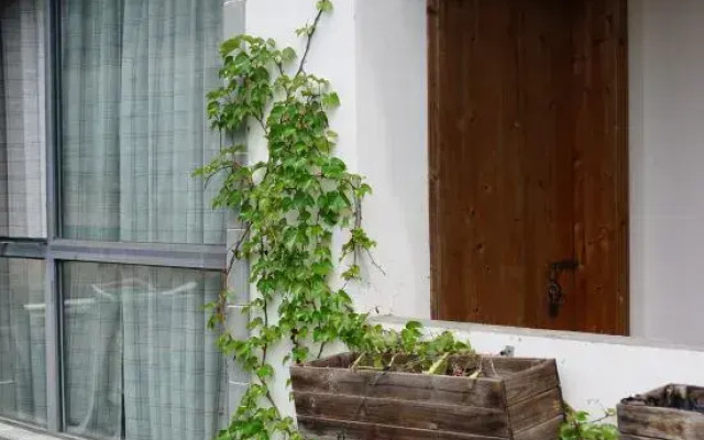 Jixi Longchuan Old House Hostel
