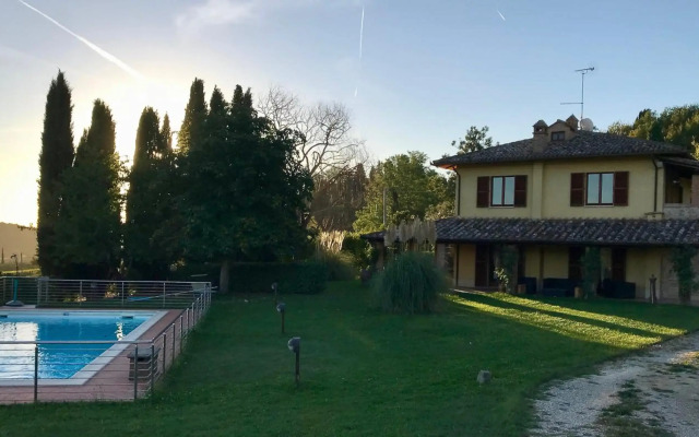 The Grapevine by MANVI