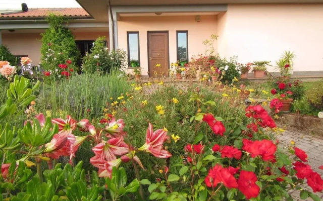 B&B Il Vigneto Tuscania