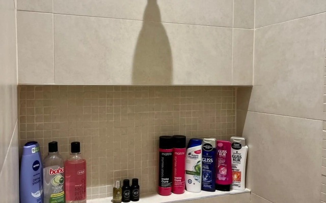 Budapest Downtown in Style