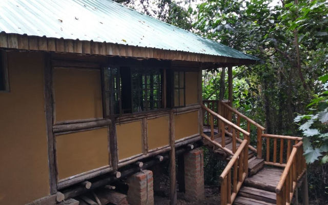 The Gorilla Resort