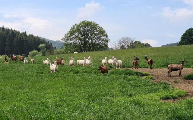 Vakantiehuisje Winterberg