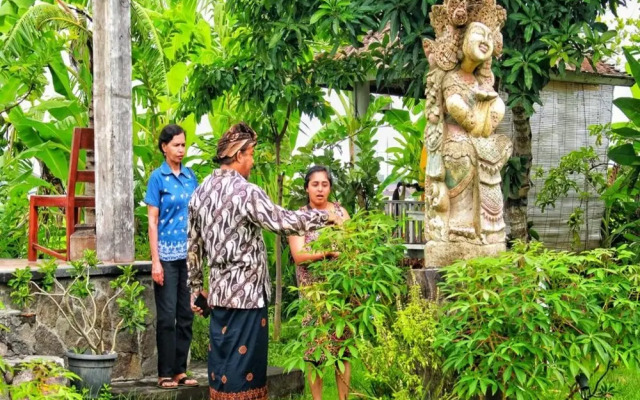 Bali Eco Living Yoga Healing Meditation and Retreat Center
