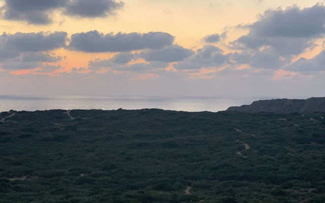 Prince Palace Netanya Beach Royal Resort