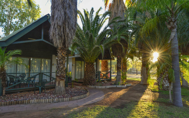 Desert Palms Alice Springs