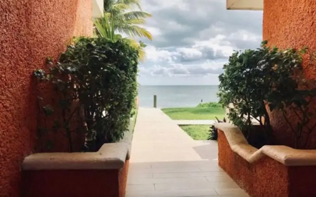 Flamingo Beach Plus
