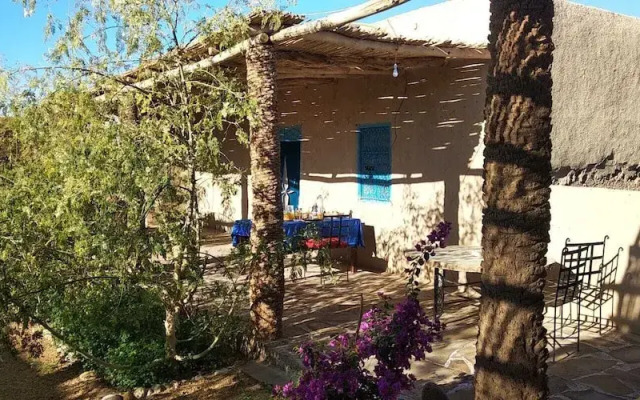Dar Oasis Moringa